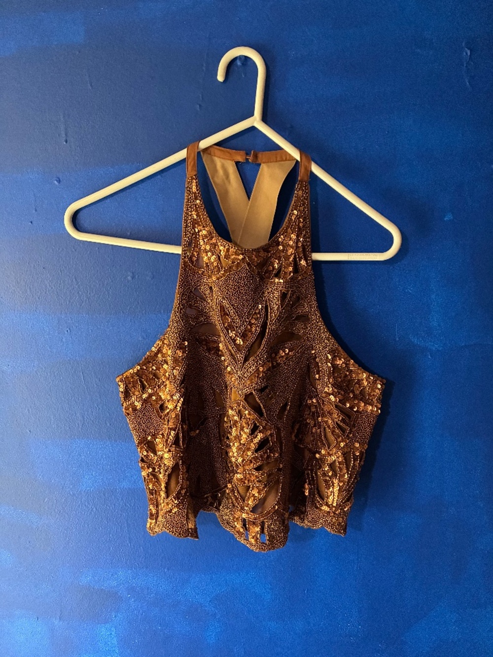 Gorgeous Sparkled Top